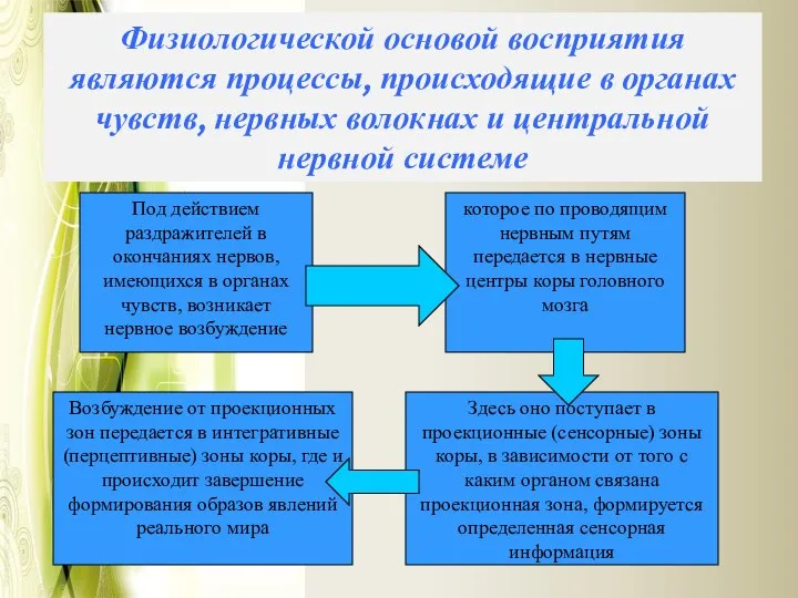 Физиологической основой восприятия являются процессы, происходящие в органах чувств, нервных волокнах