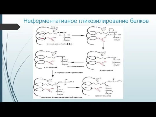 Неферментативное гликозилирование белков