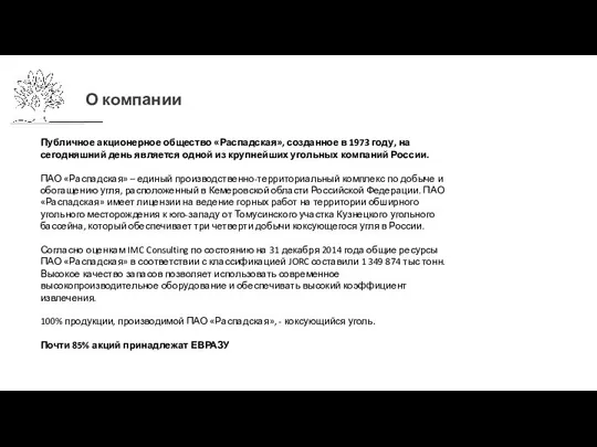 О компании Публичное акционерное общество «Распадская», созданное в 1973 году, на