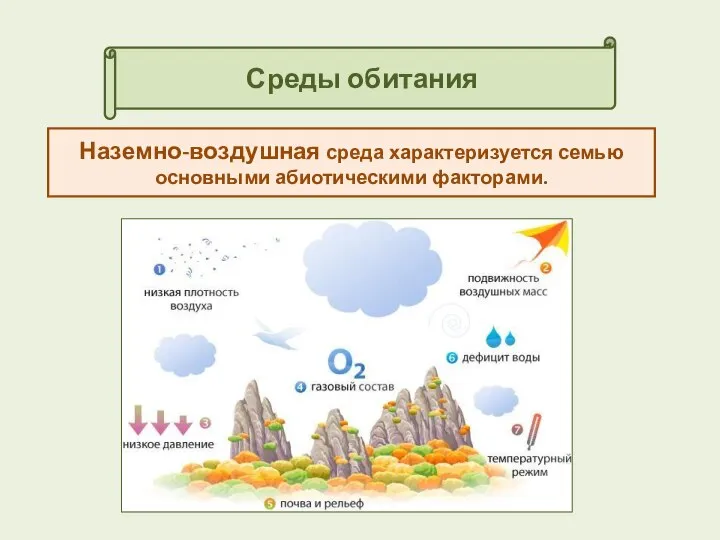 Среды обитания Наземно-воздушная среда характеризуется семью основными абиотическими факторами.