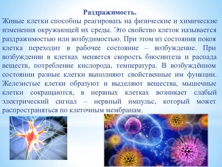 Раздражимость. Живые клетки способны реагировать на физические и химические изменения окружающей