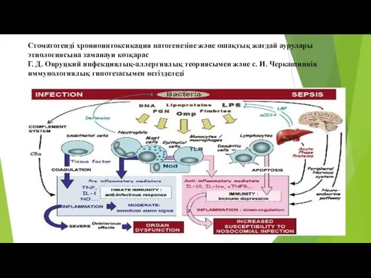 Стоматогенді хрониоинтоксикация патогенезіне және ошақтық жағдай аурулары этиологиясына заманауи көзқарас Г.