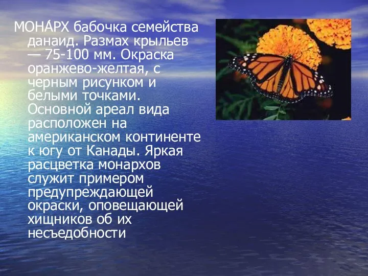 МОНА́РХ бабочка семейства данаид. Размах крыльев — 75-100 мм. Окраска оранжево-желтая,