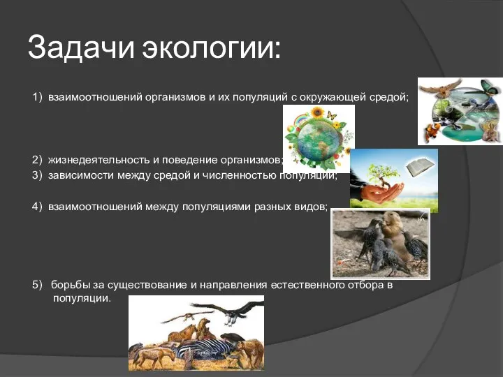 Задачи экологии: 1) взаимоотношений организмов и их популяций с окружающей средой;