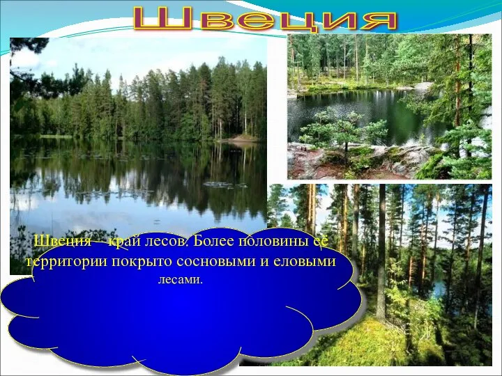 Швеция Швеция – край лесов. Более половины её территории покрыто сосновыми и еловыми лесами.