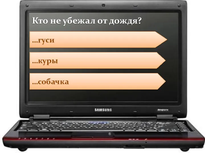 …куры …собачка …гуси Кто не убежал от дождя?