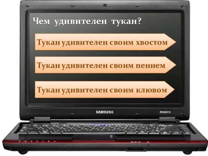 Тукан удивителен своим пением Тукан удивителен своим клювом Тукан удивителен своим хвостом Чем удивителен тукан?