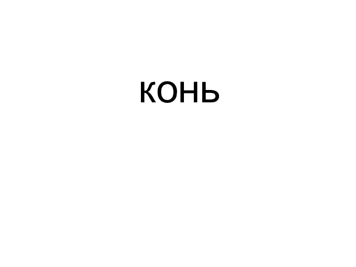 конь