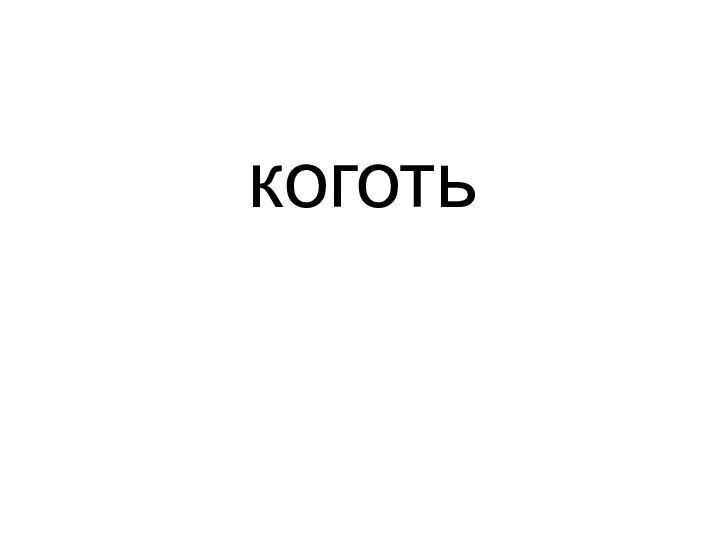 коготь