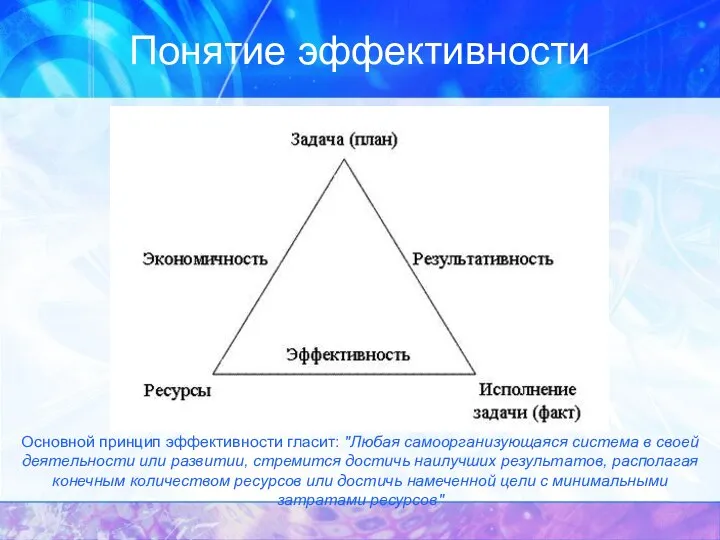 Понятие эффективности Основной принцип эффективности гласит: "Любая самоорганизующаяся система в своей