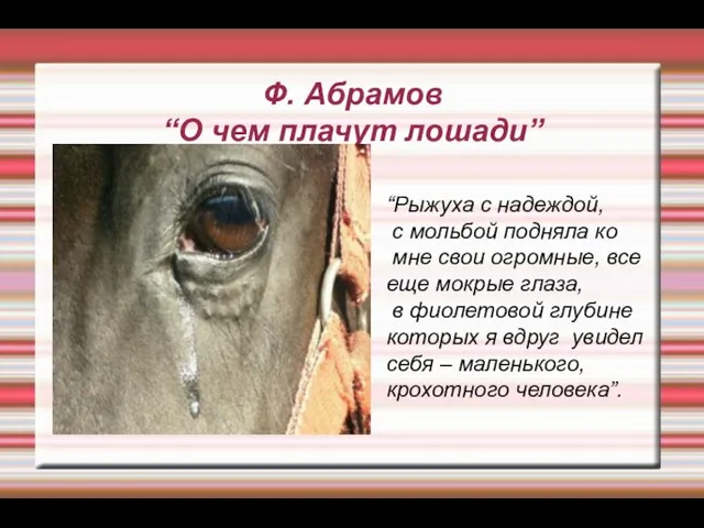 Ф. Абрамов “О чем плачут лошади” “Рыжуха с надеждой, с мольбой