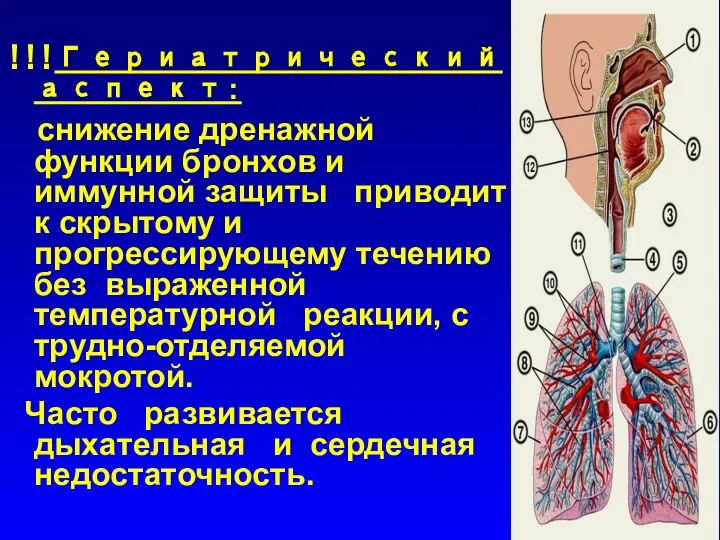 !!!Гериатрический аспект: снижение дренажной функции бронхов и иммунной защиты приводит к