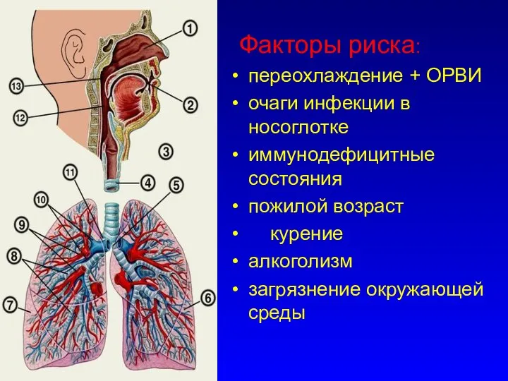 Факторы риска: переохлаждение + ОРВИ очаги инфекции в носоглотке иммунодефицитные состояния