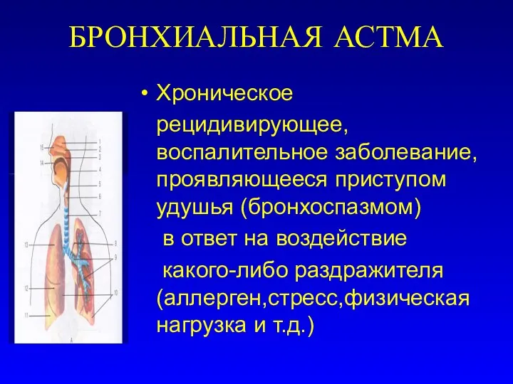 БРОНХИАЛЬНАЯ АСТМА Хроническое рецидивирующее, воспалительное заболевание, проявляющееся приступом удушья (бронхоспазмом) в