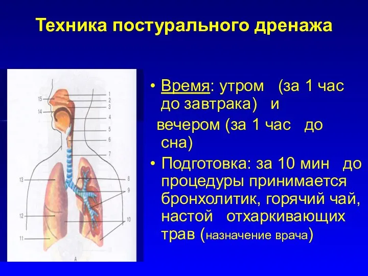 Техника постурального дренажа Время: утром (за 1 час до завтрака) и