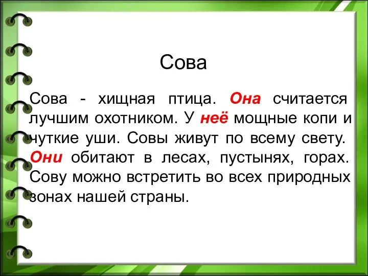 Сова Сова - хищная птица. Она считается лучшим охотником. У неё