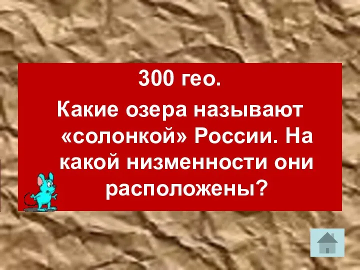 300 гео. Какие озера называют «солонкой» России. На какой низменности они расположены?