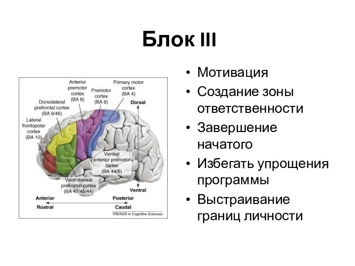 Блок III Мотивация Создание зоны ответственности Завершение начатого Избегать упрощения программы Выстраивание границ личности