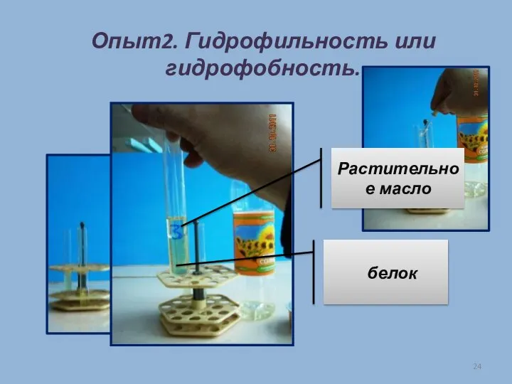 Опыт2. Гидрофильность или гидрофобность. Растительное масло белок