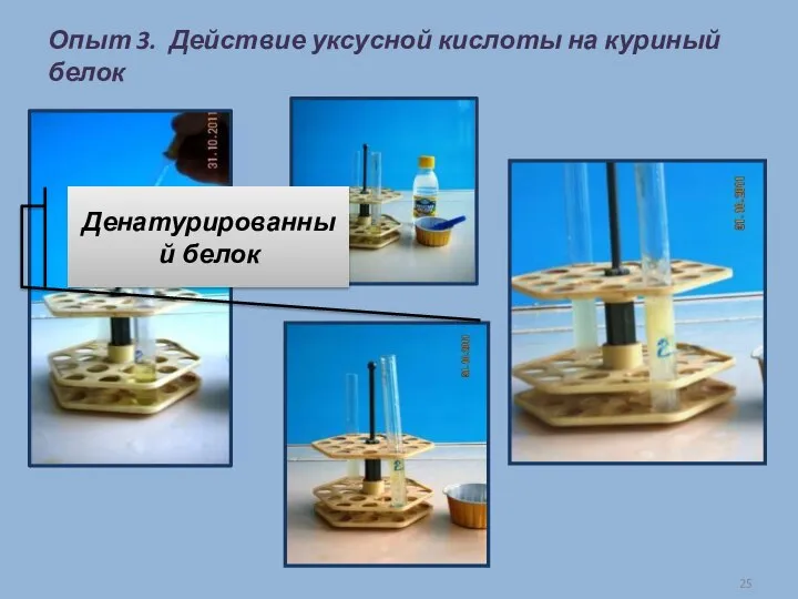 Опыт 3. Действие уксусной кислоты на куриный белок Денатурированный белок