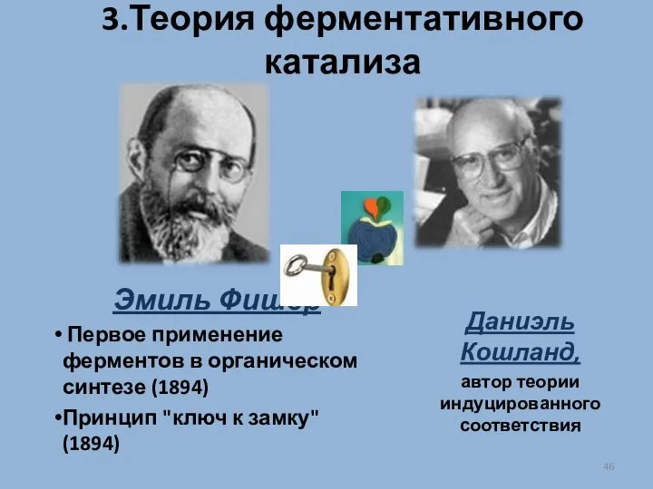 3.Теория ферментативного катализа Эмиль Фишер Первое применение ферментов в органическом синтезе