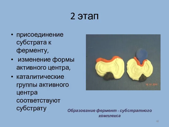 2 этап присоединение субстрата к ферменту, изменение формы активного центра, каталитические