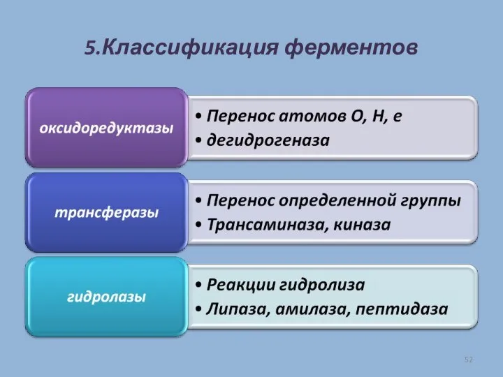 5.Классификация ферментов