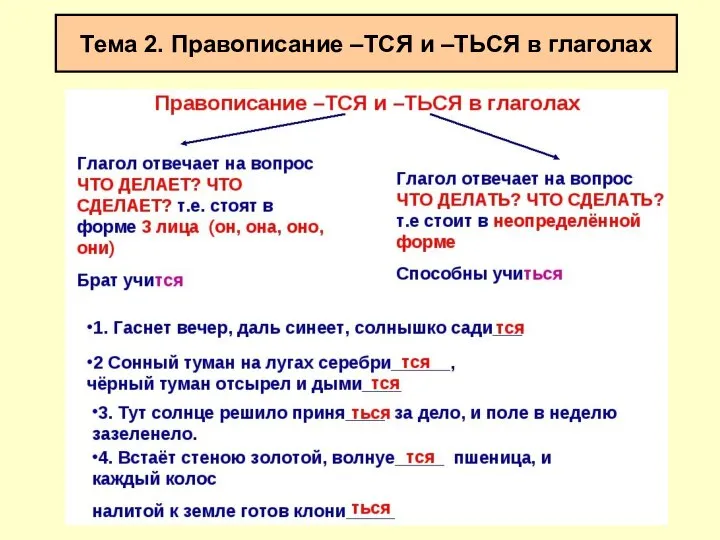 Тема 2. Правописание –ТСЯ и –ТЬСЯ в глаголах