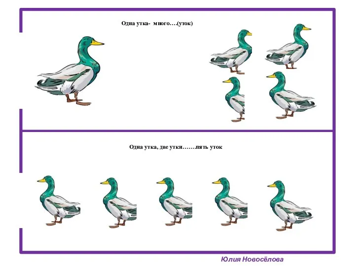 Одна утка- много….(уток) Юлия Новосёлова Одна утка, две утки…….пять уток