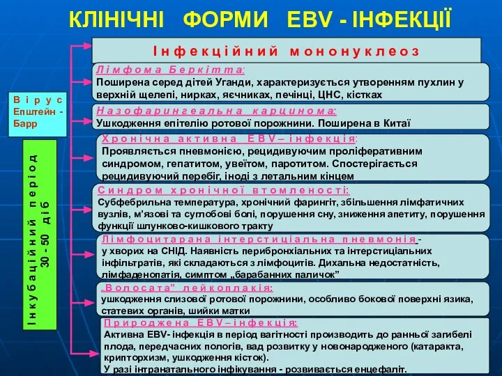 КЛІНІЧНІ ФОРМИ EBV - ІНФЕКЦІЇ