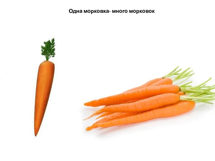 Одна морковка- много морковок