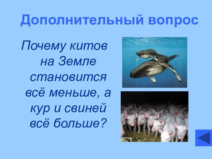 Дополнительный вопрос Почему китов на Земле становится всё меньше, а кур и свиней всё больше?