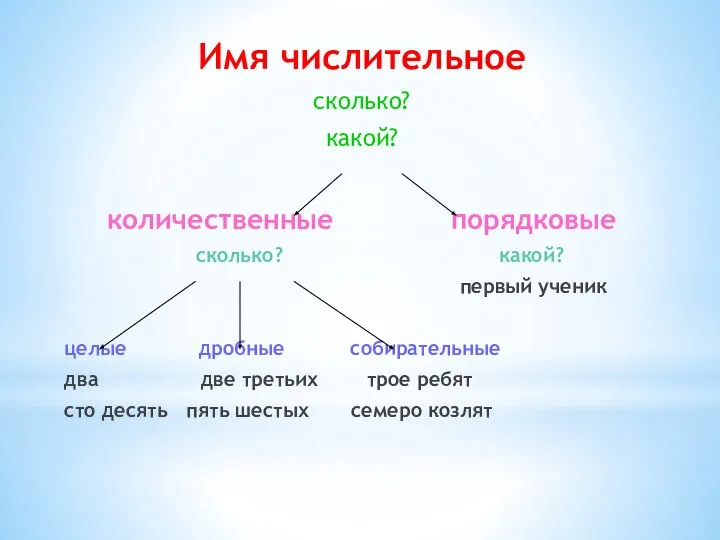 Имя числительное сколько? какой? количественные порядковые сколько? какой? первый ученик целые