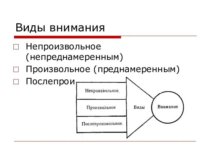 Виды внимания Непроизвольное (непреднамеренным) Произвольное (преднамеренным) Послепроизвольное