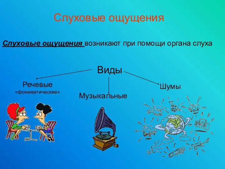 Слуховые ощущения возникают при помощи органа слуха Виды Речевые «фонематические» Музыкальные Шумы Слуховые ощущения