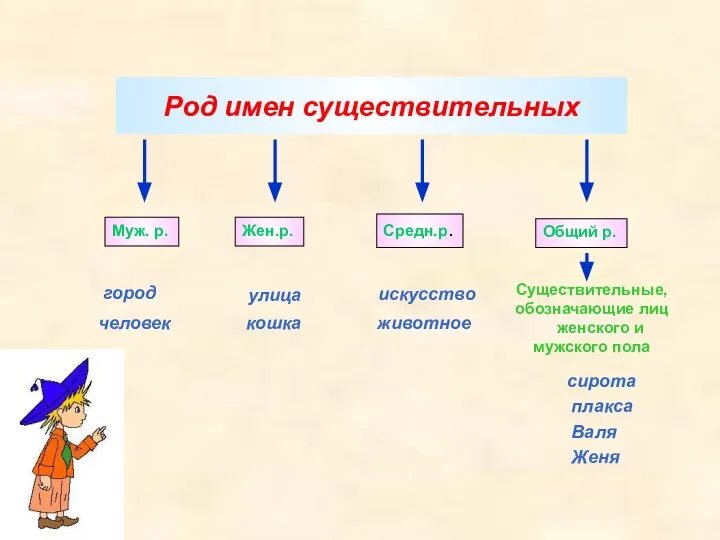 Род имен существительных Существительные, обозначающие лиц женского и мужского пола