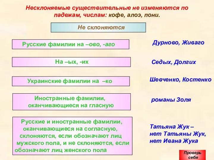 Несклоняемые существительные не изменяются по падежам, числам: кофе, алоэ, пони. Не склоняются Проверь себя