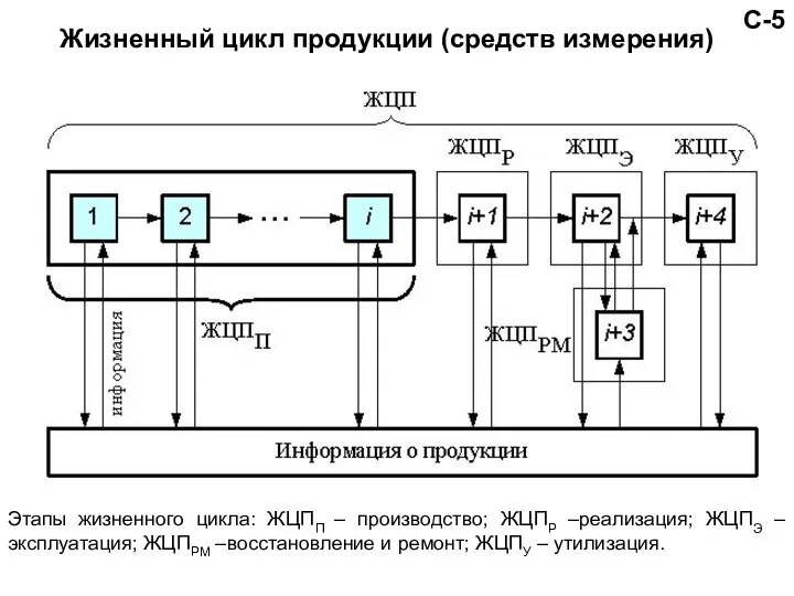 С-5 Жизненный цикл продукции (средств измерения) Этапы жизненного цикла: ЖЦПП –