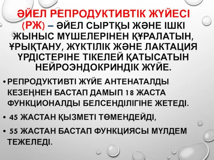 ӘЙЕЛ РЕПРОДУКТИВТІК ЖҮЙЕСІ (РЖ) – ӘЙЕЛ СЫРТҚЫ ЖӘНЕ ІШКІ ЖЫНЫС МҮШЕЛЕРІНЕН