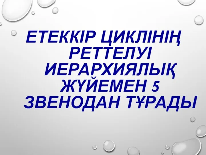 ЕТЕККІР ЦИКЛІНІҢ РЕТТЕЛУІ ИЕРАРХИЯЛЫҚ ЖҮЙЕМЕН 5 ЗВЕНОДАН ТҰРАДЫ