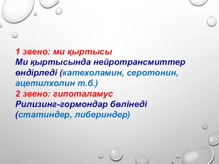 1 звено: ми қыртысы Ми қыртысында нейротрансмиттер өндірледі (катехоламин, серотонин, ацетилхолин