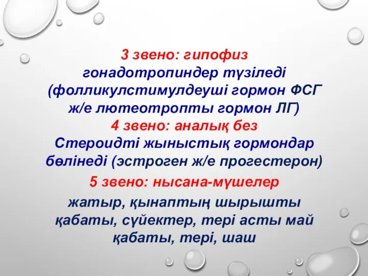 3 звено: гипофиз гонадотропиндер түзіледі (фолликулстимулдеуші гормон ФСГ ж/е лютеотропты гормон