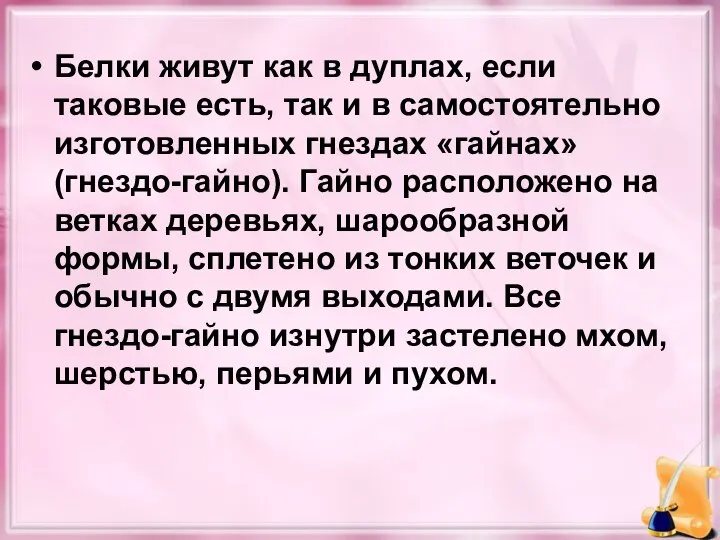 Белки живут как в дуплах, если таковые есть, так и в