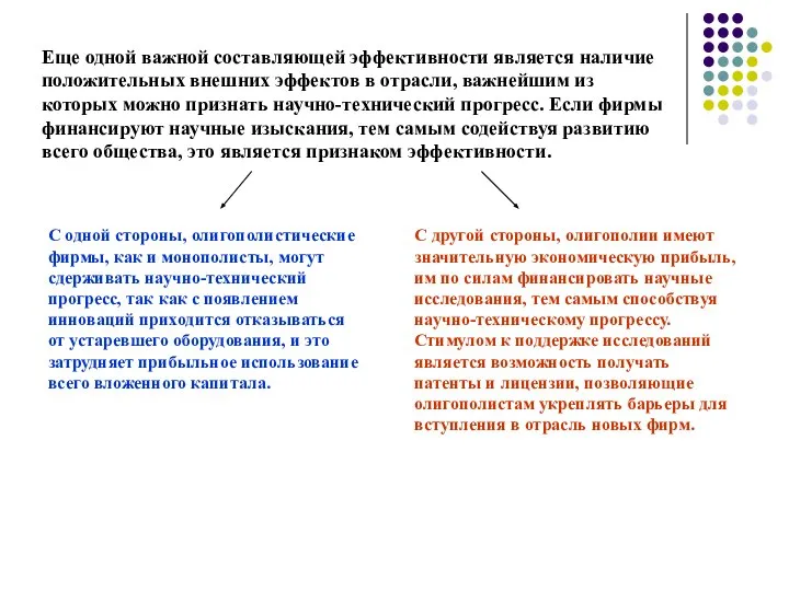 Еще одной важной составляющей эффективности является наличие положительных внешних эффектов в