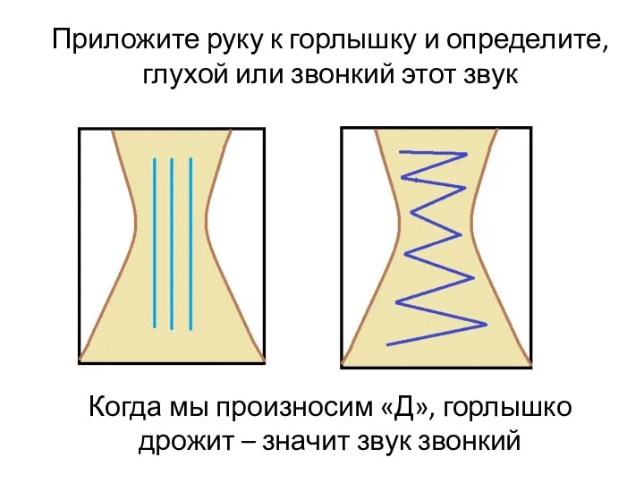 Приложите руку к горлышку и определите, глухой или звонкий этот звук