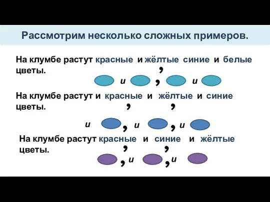 На клумбе растут красные и жёлтые синие и белые цветы. Рассмотрим