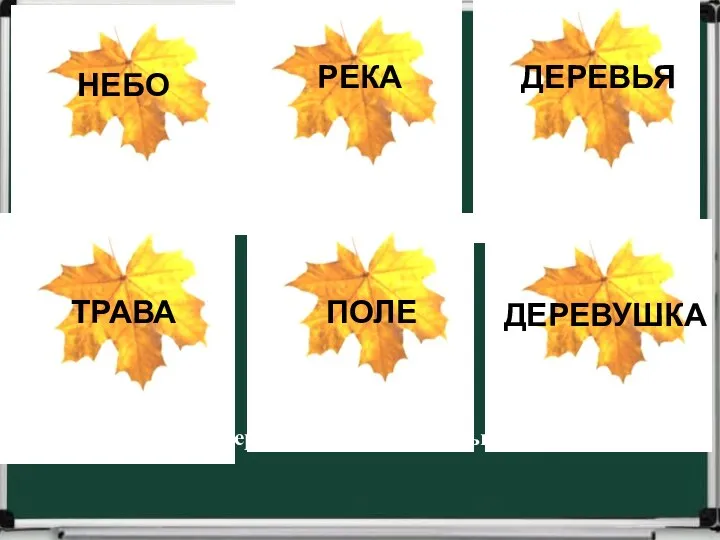 НЕБО РЕКА ДЕРЕВЬЯ ТРАВА ПОЛЕ ДЕРЕВУШКА Подбери имена прилагательные