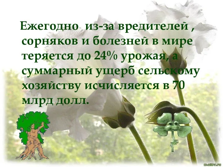 Ежегодно из-за вредителей ,сорняков и болезней в мире теряется до 24%