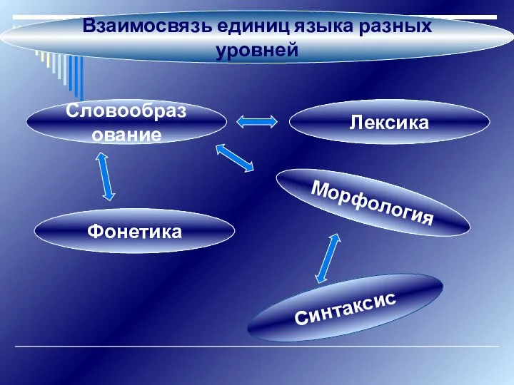 Взаимосвязь единиц языка разных уровней Словообразование Лексика Морфология Синтаксис Фонетика