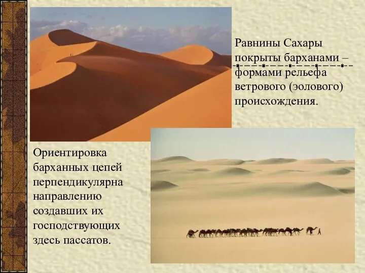 Равнины Сахары покрыты барханами – формами рельефа ветрового (эолового) происхождения. Ориентировка